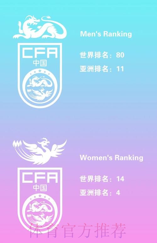 世界杯买球排行榜：全站精选与深度解析